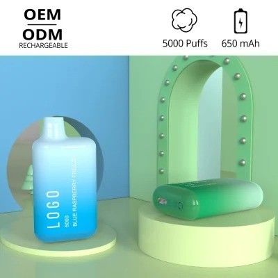 SUS304 γεύση μίας χρήσης Vape 1.2ohm φρούτων φραγμών BC5000 νεραιδών cOem