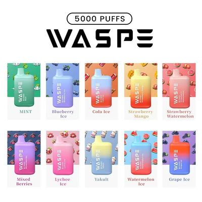 Waspe 5000Puffs E Τσιγάρο Εναχρησιμοποιήσιμο Vape 13ML 2%/3%/5% Nic 650mah επαναφορτιζόμενο
