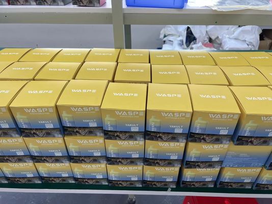 5000 Puffs Waspe επαναφορτιζόμενη μία φορά συσκευή πένας με 13 ml προγεμισμένου χυμού