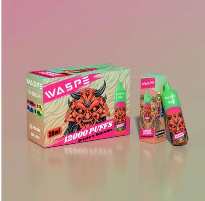 20 ml E- Liquid μίας χρήσης πένας με Micro USB τύπου C 10PCS/ κουτί οθόνης