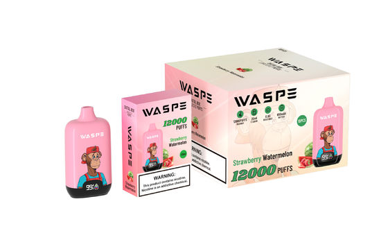 Έναχρονη συσκευή πένας Waspe 12000 ψηφιακό κουτί με περιτύλιγμα για ηλεκτρονικό τσιγάρο