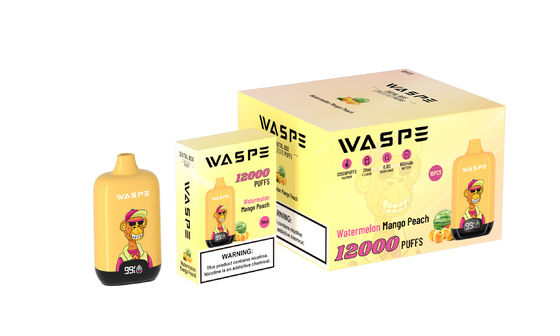 12000Puffs Πένα για βιασμό μίας χρήσης εξοπλισμένο με πλέγμα σπείρας και καλώδιο φόρτισης τύπου C