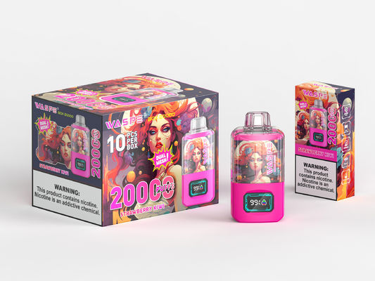24 ml Ejuice Big Puff Vape Τύπος C Φορτίο 650Mah μπαταρίας Κιτ οθόνης