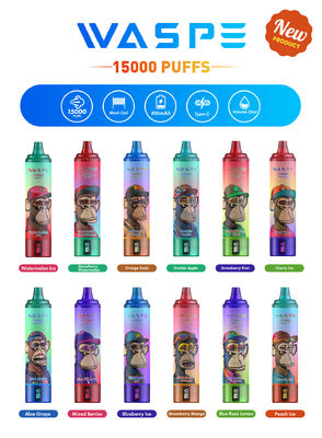 Προσαρμοσμένο 22 ml SUS304 Vape με 12 φρουτοειδείς γεύσεις 15000-Puff χωρητικότητα Τύπος C φόρτιση