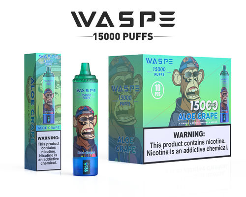 Προσαρμοσμένο 22 ml SUS304 Vape με 12 φρουτοειδείς γεύσεις 15000-Puff χωρητικότητα Τύπος C φόρτιση