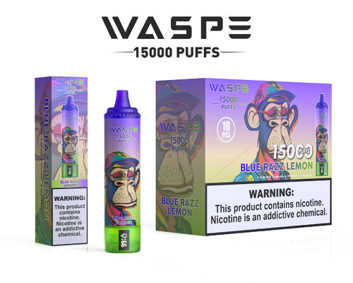 Προσαρμοσμένο 22 ml SUS304 Vape με 12 φρουτοειδείς γεύσεις 15000-Puff χωρητικότητα Τύπος C φόρτιση